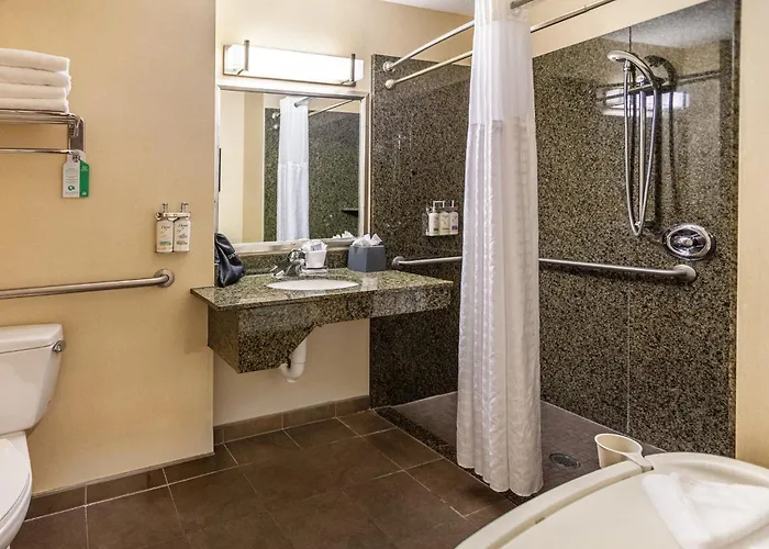 & North - Airpark By Ihg Hotel 3*